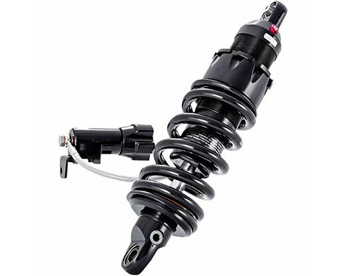 000000007134.jpg?t=20260212145506