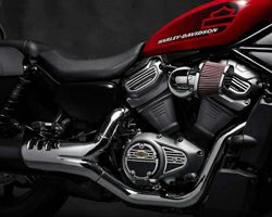 000000009708.jpg?t=20220418182226