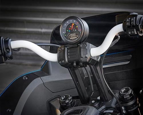 ハーレー、 Ricks ライザー