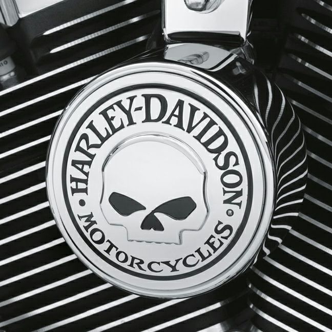  【純正】 ウィリーG スカル ホーンカバー 