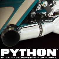 Python(バイソン)