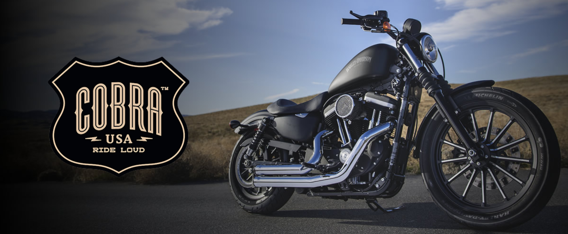 COBRA（コブラ）のイメージ画像になります