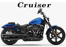 スポーツスター タンク（インジェクション用）(インジェクション用)