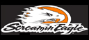 Screamin Eagle