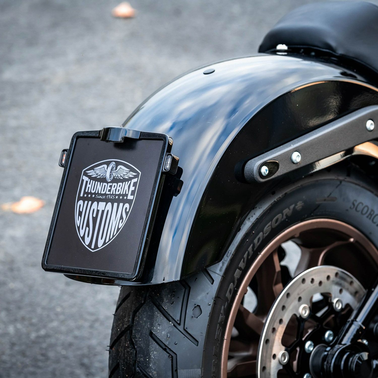 Thunderbike ライセンスプレートマウントブラケット (ポリッシュ) 【M8