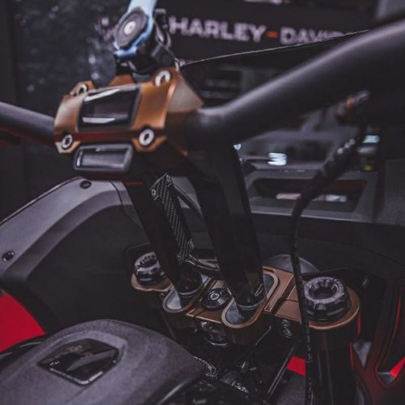 ローライダーS/ST トップトリプルツリー (ブラック) Original Garage