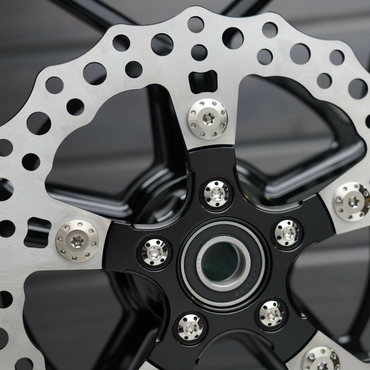 ツーリング、ソフテイル、ダイナ、スポーツスター チタニウム・フロントブレーキローターボルト (ポリッシュ) Arlen Ness3