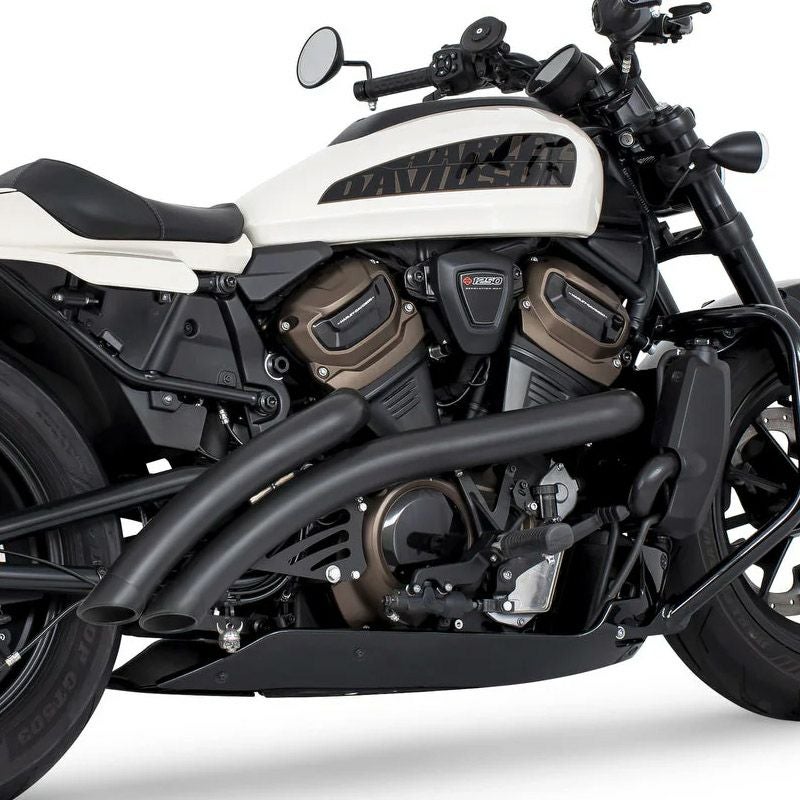 Freedom Performance ラジカルラディウス 2-2 フルエキゾースト