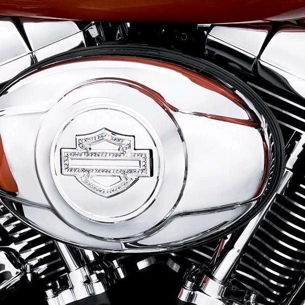 ダイアモンドアイスコレクション・エアクリーナートリム（エボ1340、Twin Cam用）-01