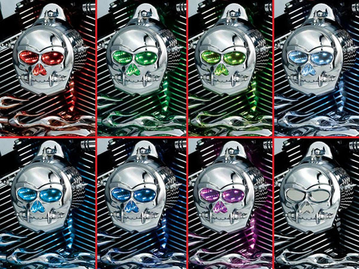 クリアキン　ゾンビーインフィニティーホーンカバー-02