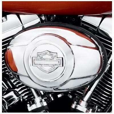 ダイアモンドアイスコレクション・エアクリーナートリム（'08以降ダイナ用）-01