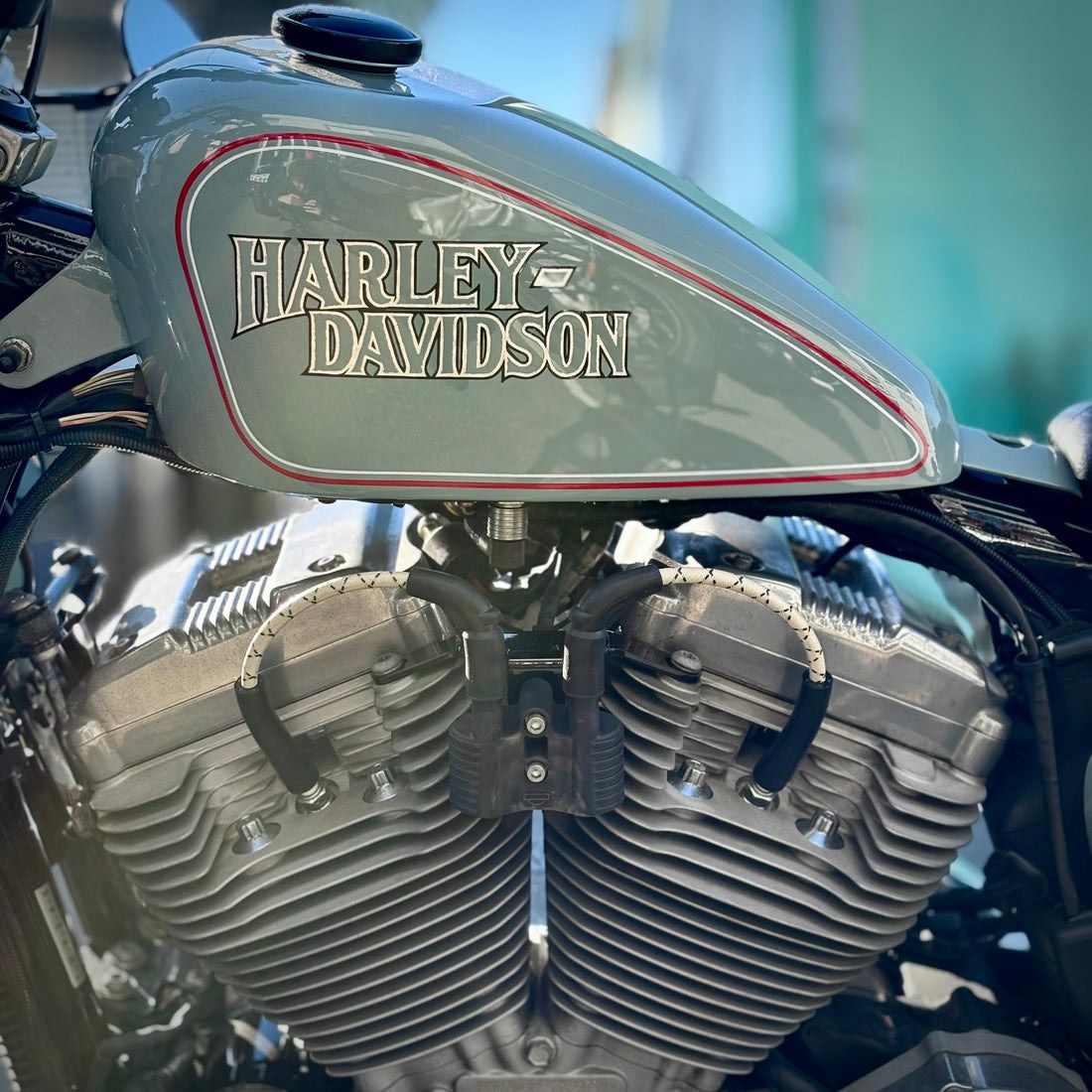 スポーツスター 布巻きスパークプラグコード 上向き用 (ホワイト/ブラック) INFINITY1