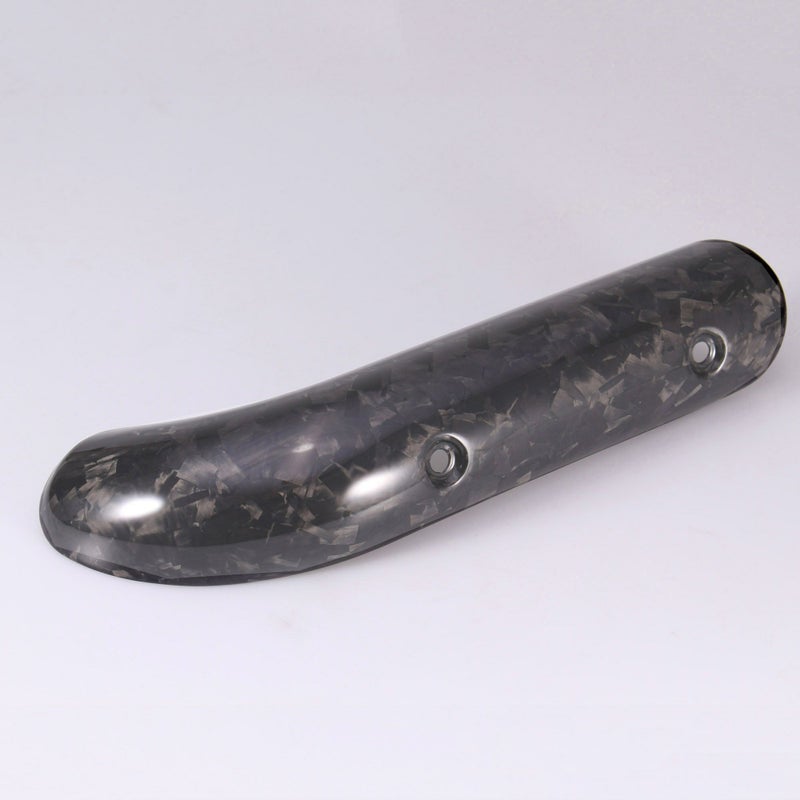 パンアメリカ ドライカーボンエキゾーストヒートガード (フォージド/艶消し) SPEEDRA