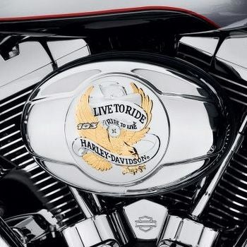 ゴールド・LIVE TO RIDEロゴ・エアクリーナートリム　103ロゴ（エボ1340、Twin Cam用）-02