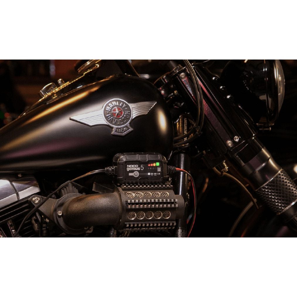  NOCO ジェニウス5 リチウム/鉛対応 5アンペア 高性能バッテリーチャージャー2