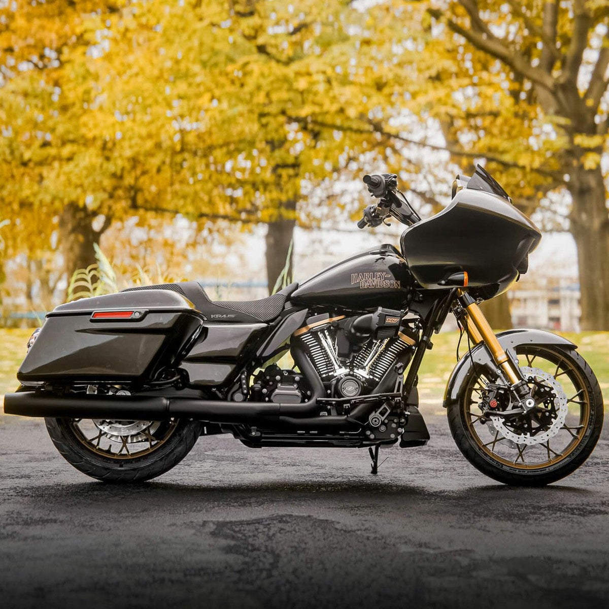 2015以降 ロードグライド アイソレーテッドライザー 10インチ キックバック (ブラック)7