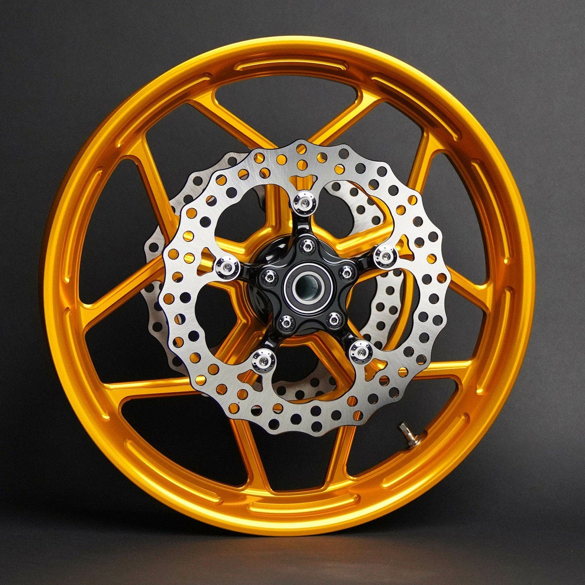 Arlen Ness アレンネス Spider ローター 11.8インチ ブラック 3