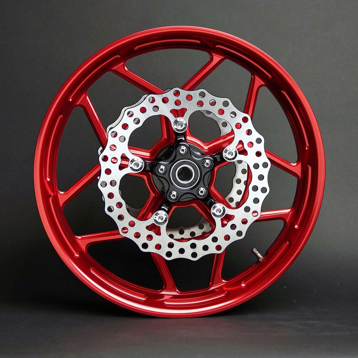 Arlen Ness アレンネス Spider ローター 11.5インチ ブラック 4