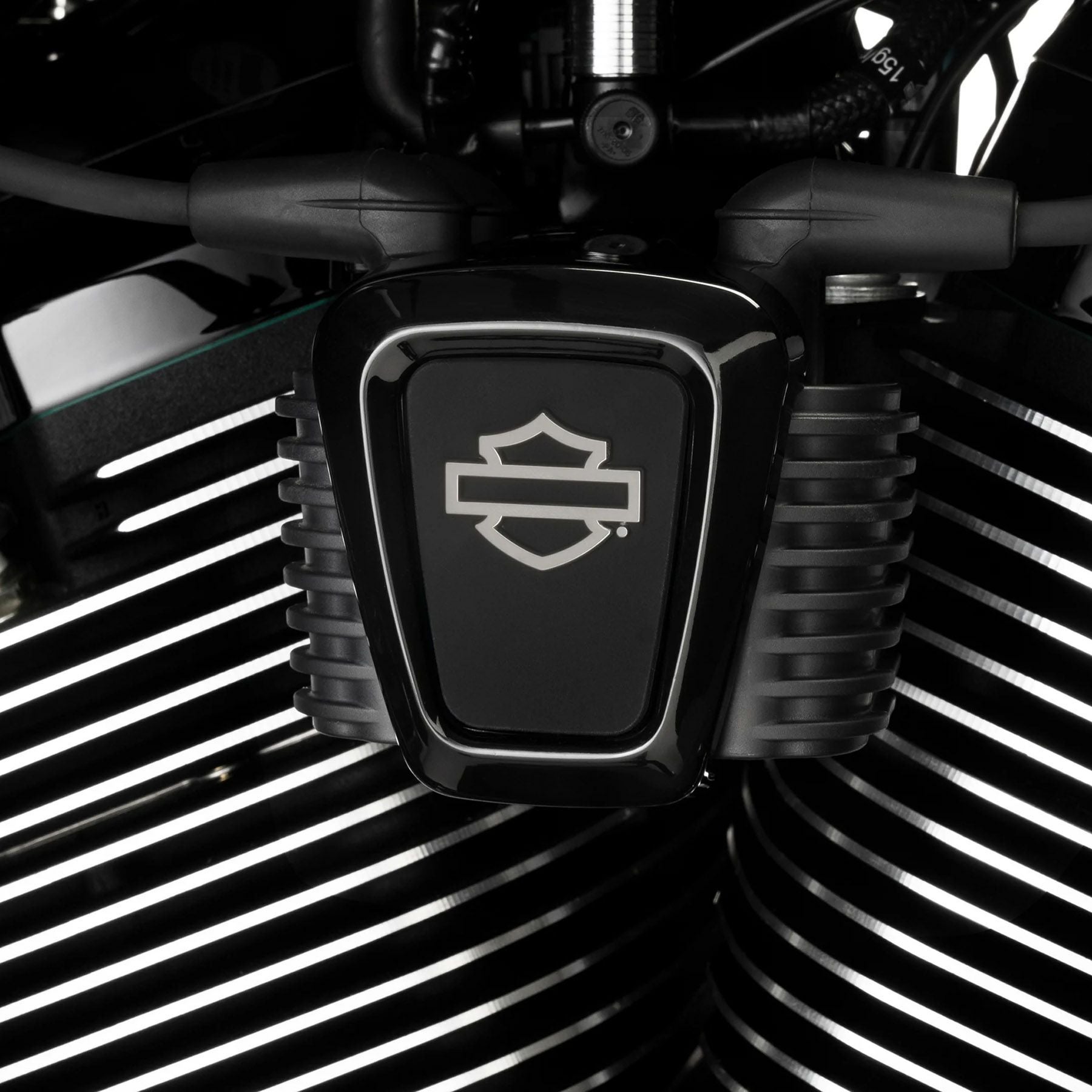 2018以降 ソフテイル、2025以降 ツーリング ウィリーGスカル コイル