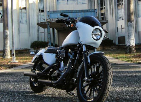 アレンネス DIRECT BOLT-ON フェアリング 無塗装-01