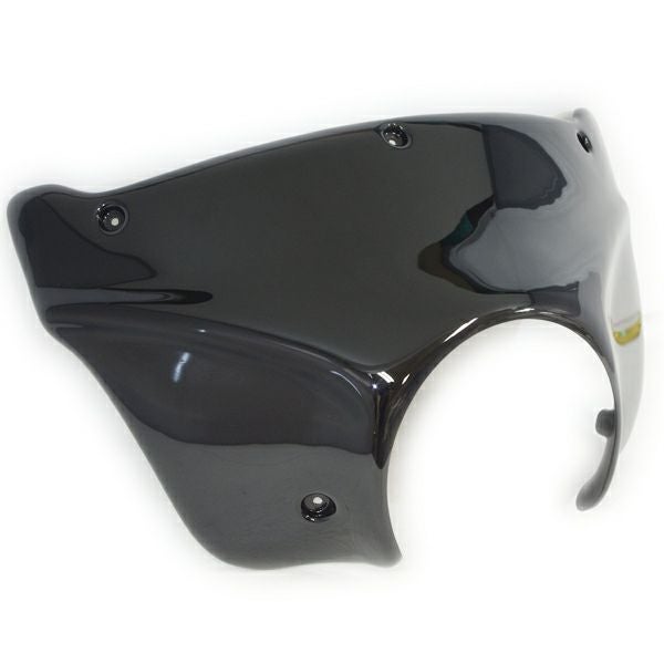 アレンネス　ウインドシールド・スキン　無塗装　'94以降FLHR-01