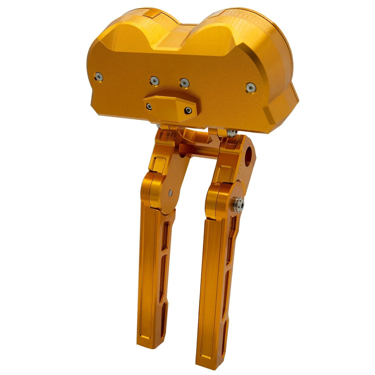 2018～2021 FXLRS アジャスタブル ダブルゲージハウジング ゴールド Vitys Design （ビティーズデザイン） 3