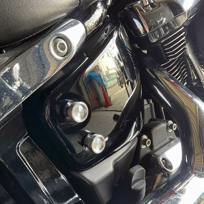 寺田モータース M8ソフテイル サイドカバースクリュー シルバー