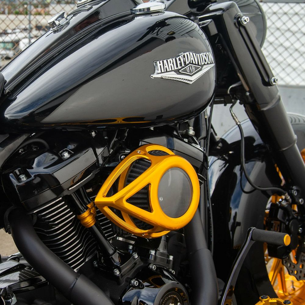 アレンネス Clear Tear エアクリーナー ゴールド 2024以降ツーリング 2025以降ソフテイル