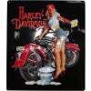 Harley Babe Wash Embossed ブリキ看板-01