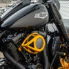 Arlen Ness Clear Tear エアクリーナー ゴールド RH975 ナイトスター