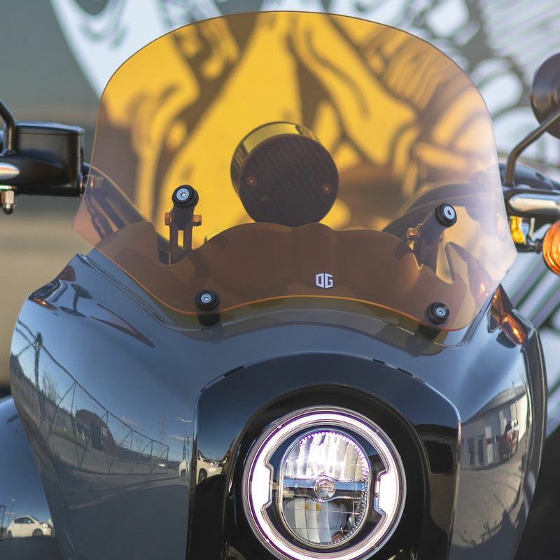 Tスポーツ フェアリング用 交換シールド 12インチ オレンジ OG