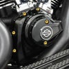 Arlenness（アレンネス） チタン 12ポイント カムカバーボルトキット ゴールド 2025以降 ツーリング、ソフテイル