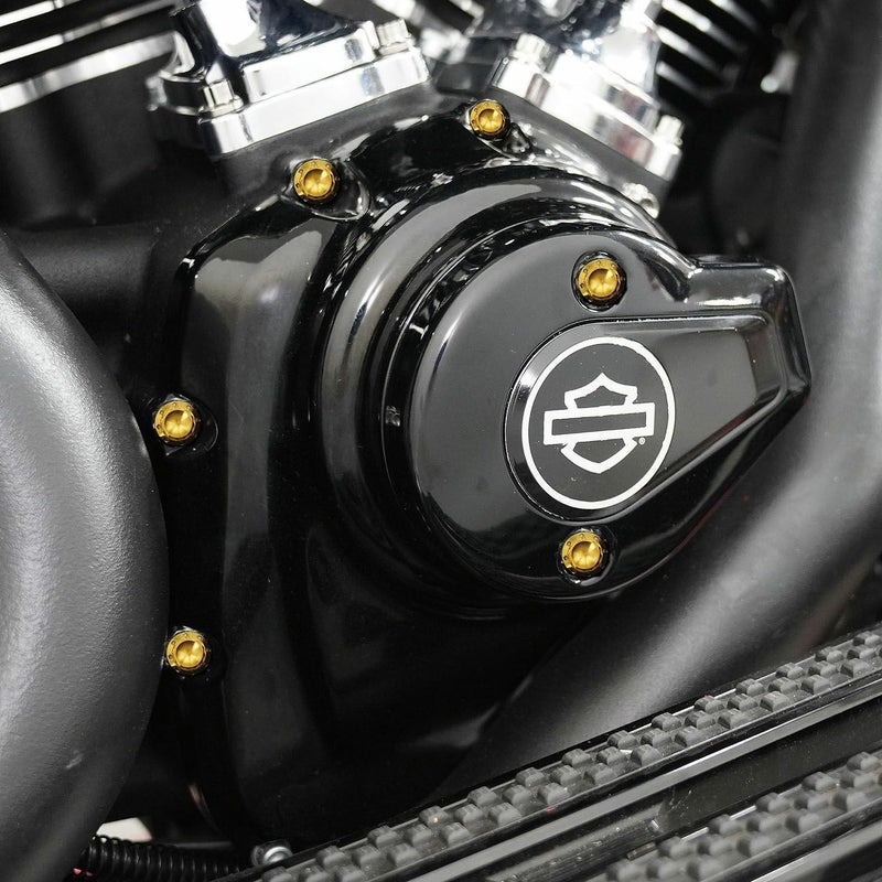 Arlenness（アレンネス） チタン 12ポイント カムカバーボルトキット ゴールド 2025以降 ツーリング、ソフテイル