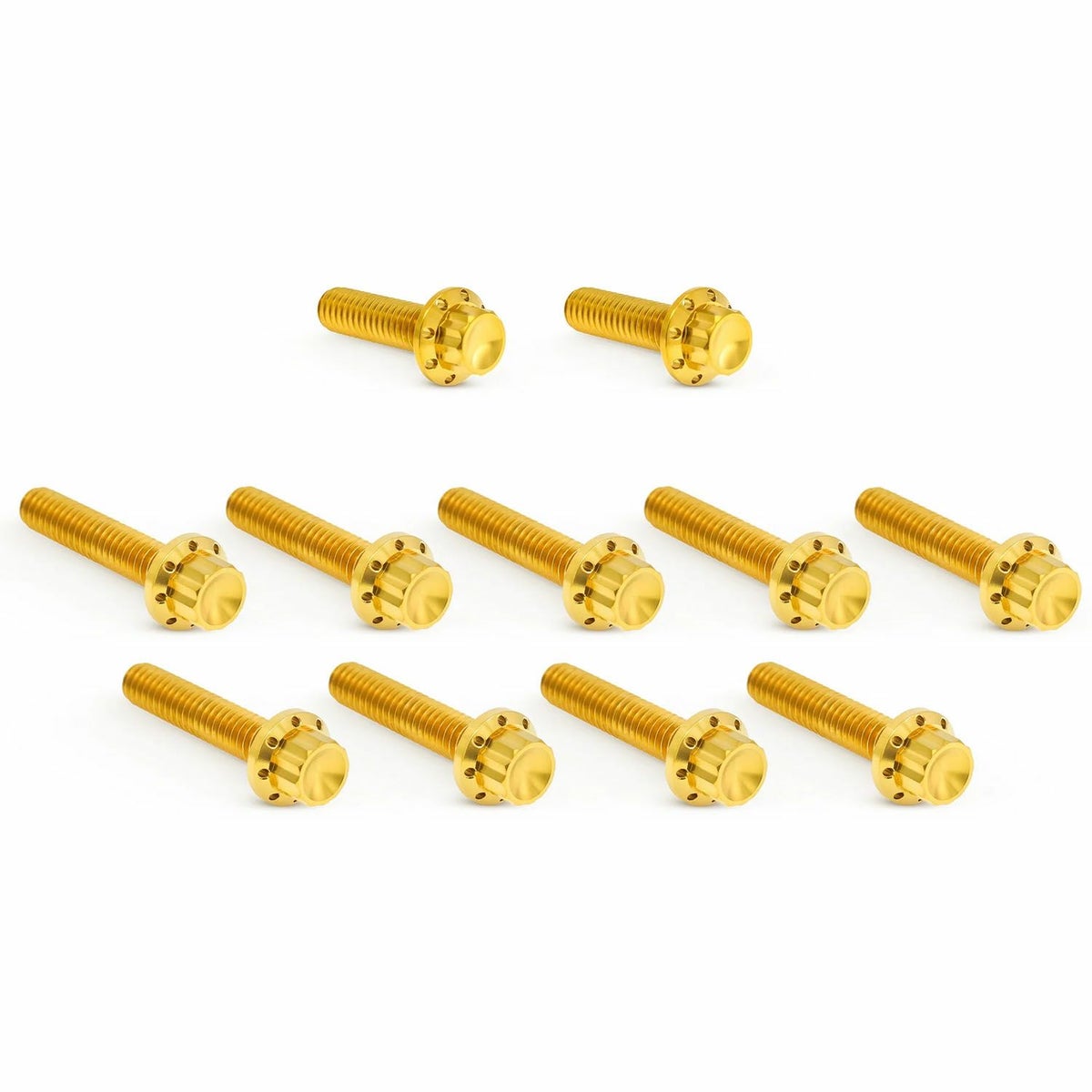 Arlenness（アレンネス） チタン 12ポイント カムカバーボルトキット ゴールド M8 ツーリング、ソフテイル 3