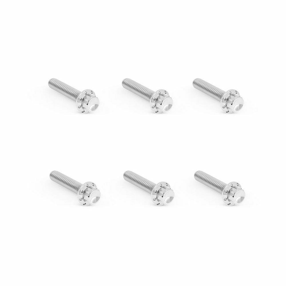 Arlenness（アレンネス） チタン 12ポイント トラップドア ボルトキット ポリッシュ ケーブルクラッチ M8 ツーリング、ソフテイル 