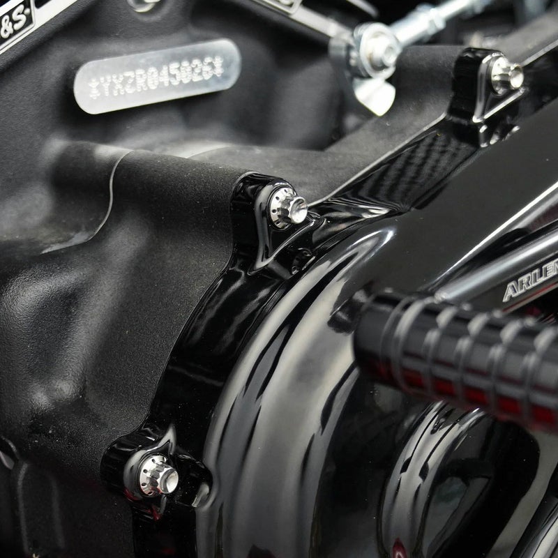 Arlenness（アレンネス） チタン 12ポイント プライマリーカバー ボルトキット ポリッシュ M8 ソフテイル