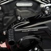 Arlenness（アレンネス） チタン 12ポイント プライマリーカバー ボルトキット ポリッシュ M8 ソフテイル 2