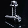 Arlenness（アレンネス） チタン 12ポイント プライマリーカバー ボルトキット ブラック M8 ソフテイル 2