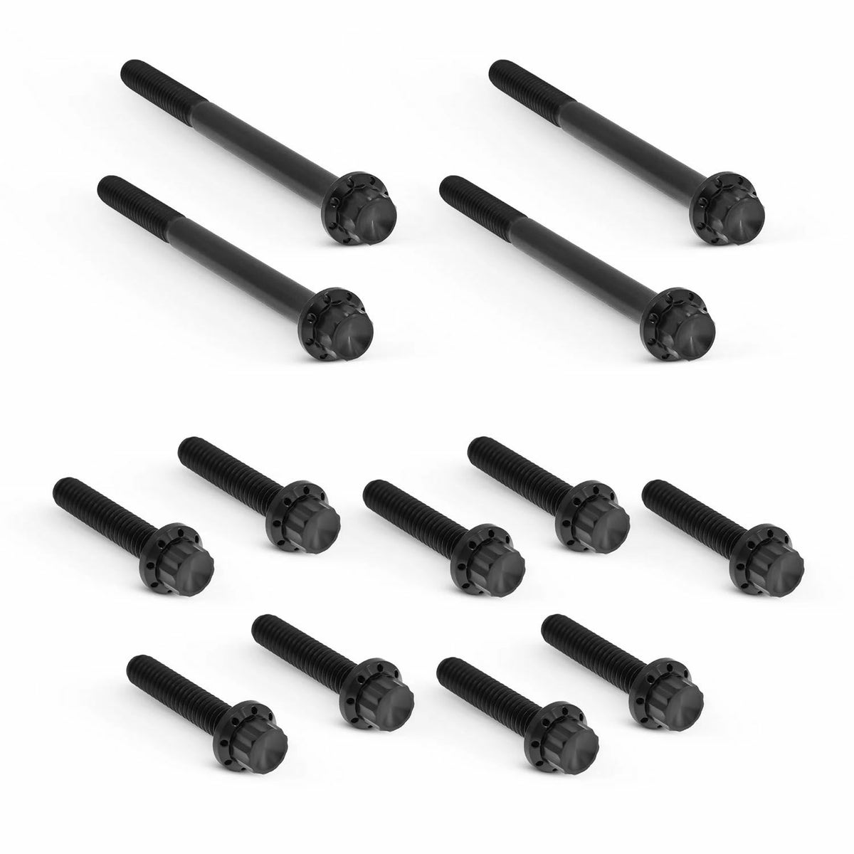 Arlenness（アレンネス） チタン 12ポイント プライマリーカバー ボルトキット ブラック ツインカム ツーリング、ソフテイル、ダイナ 3