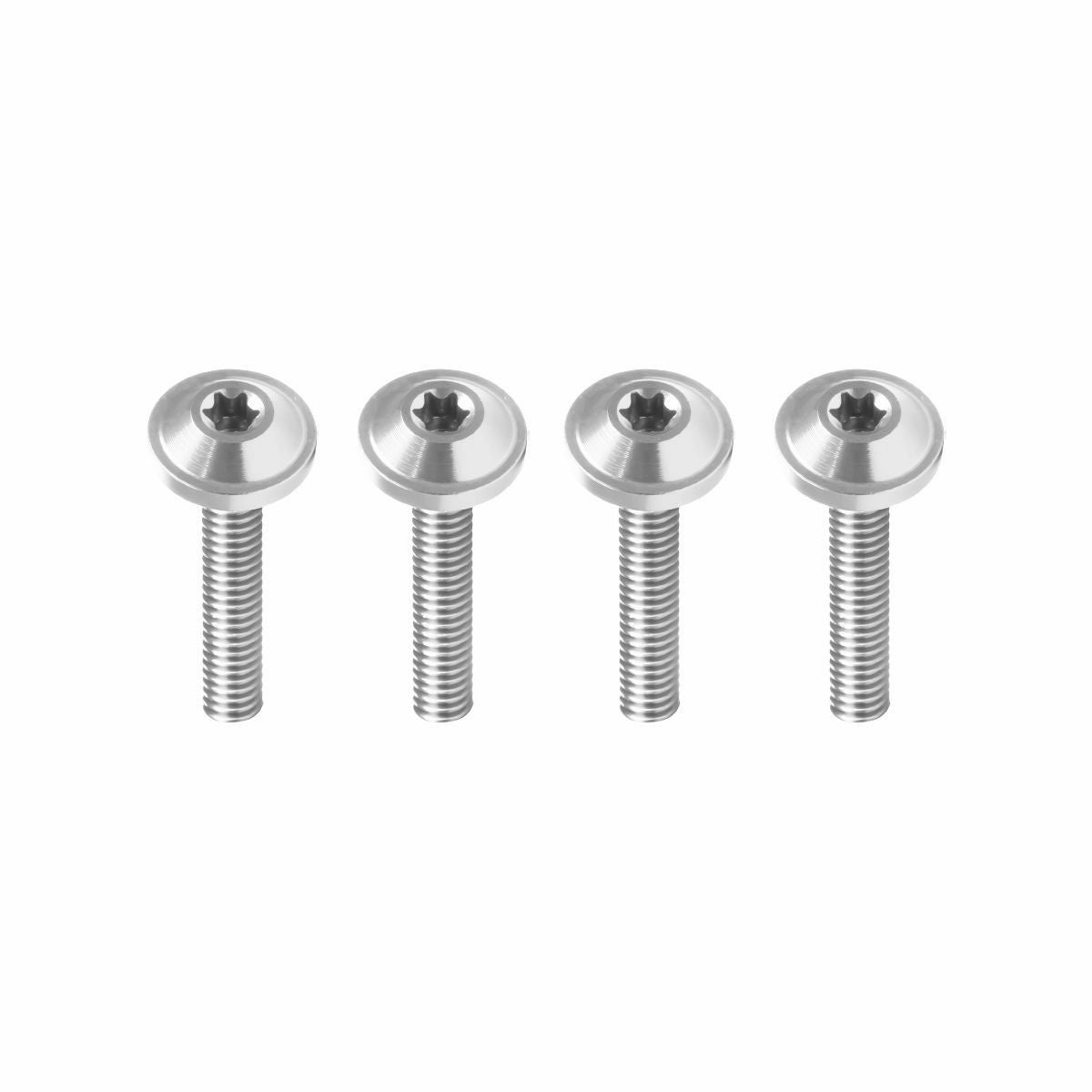 2015～2023 ロードグライド ウインドシールドボルト シルバー HogWorkz（ホグワークズ） 2