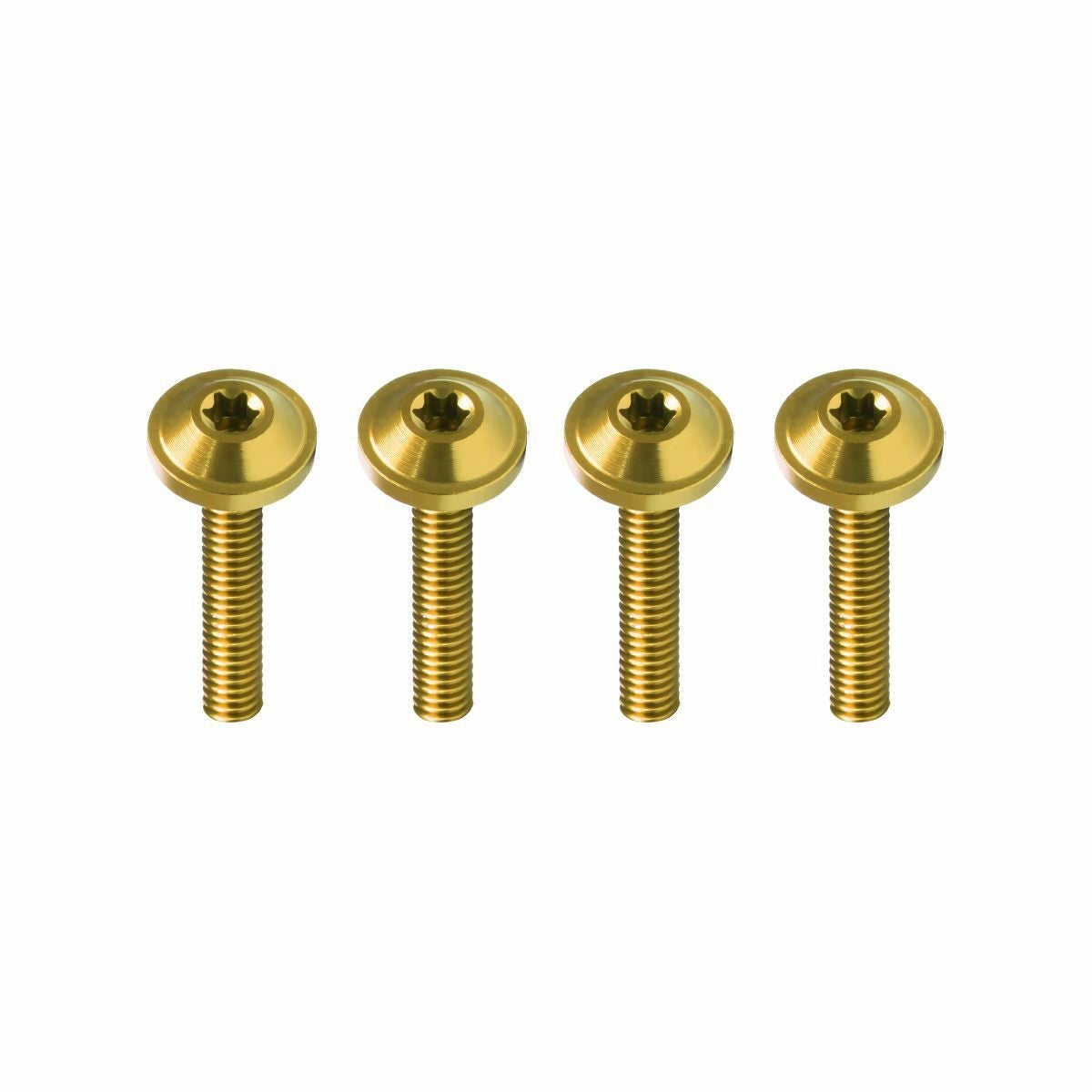 2015～2023 ロードグライド ウインドシールドボルト ゴールド HogWorkz（ホグワークズ） 2