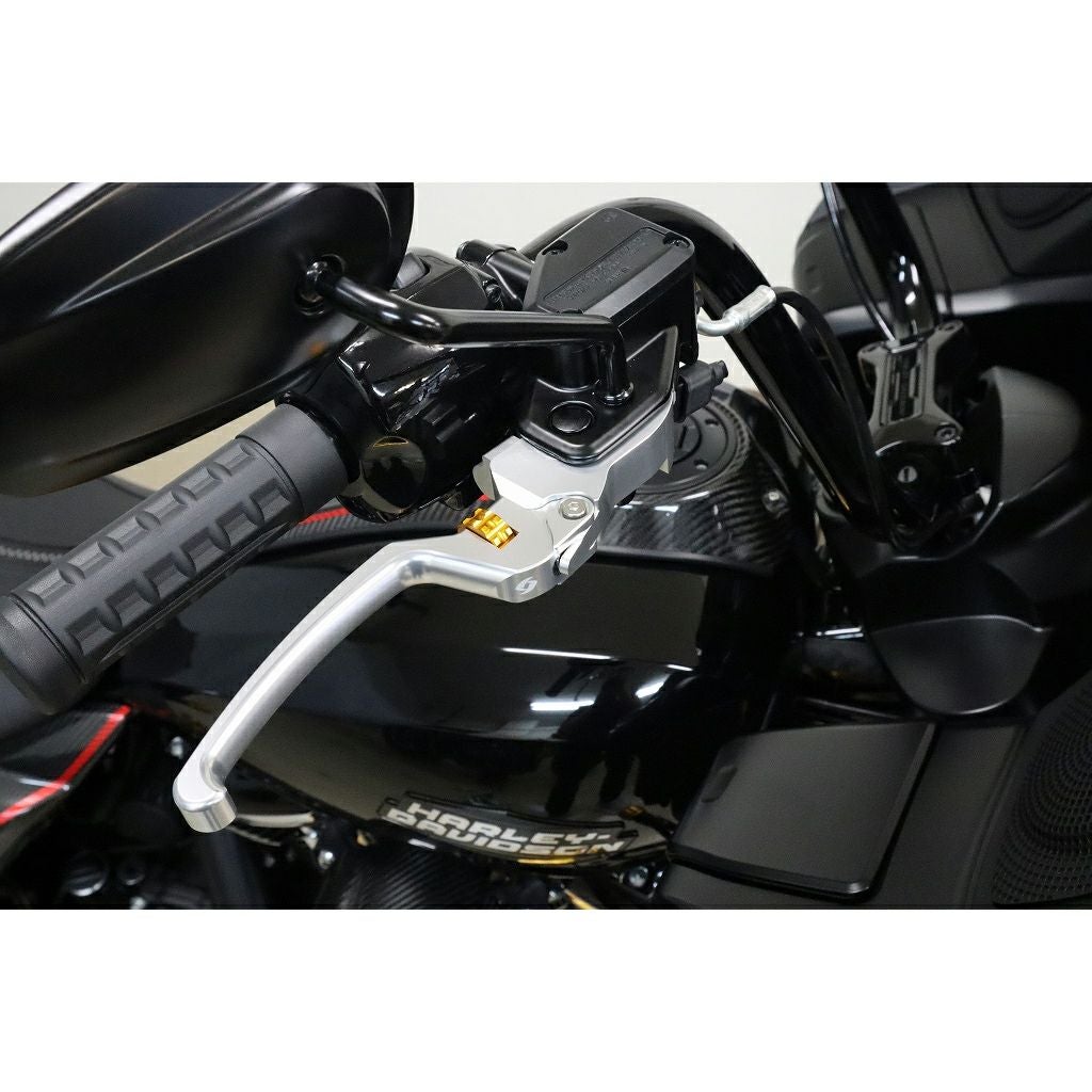 アジャスタブル・レバーセット (シルバー/ゴールド)2