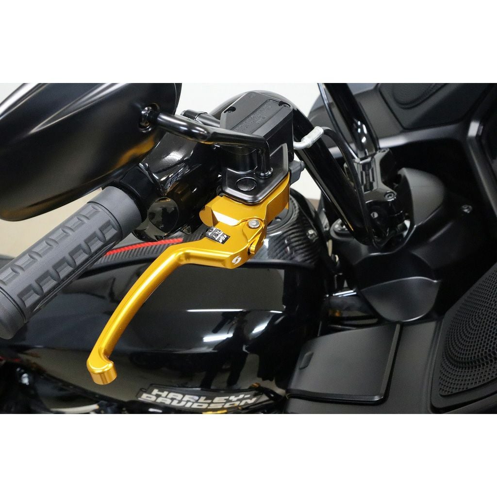 アジャスタブル・レバーセット (ゴールド/シルバー)2