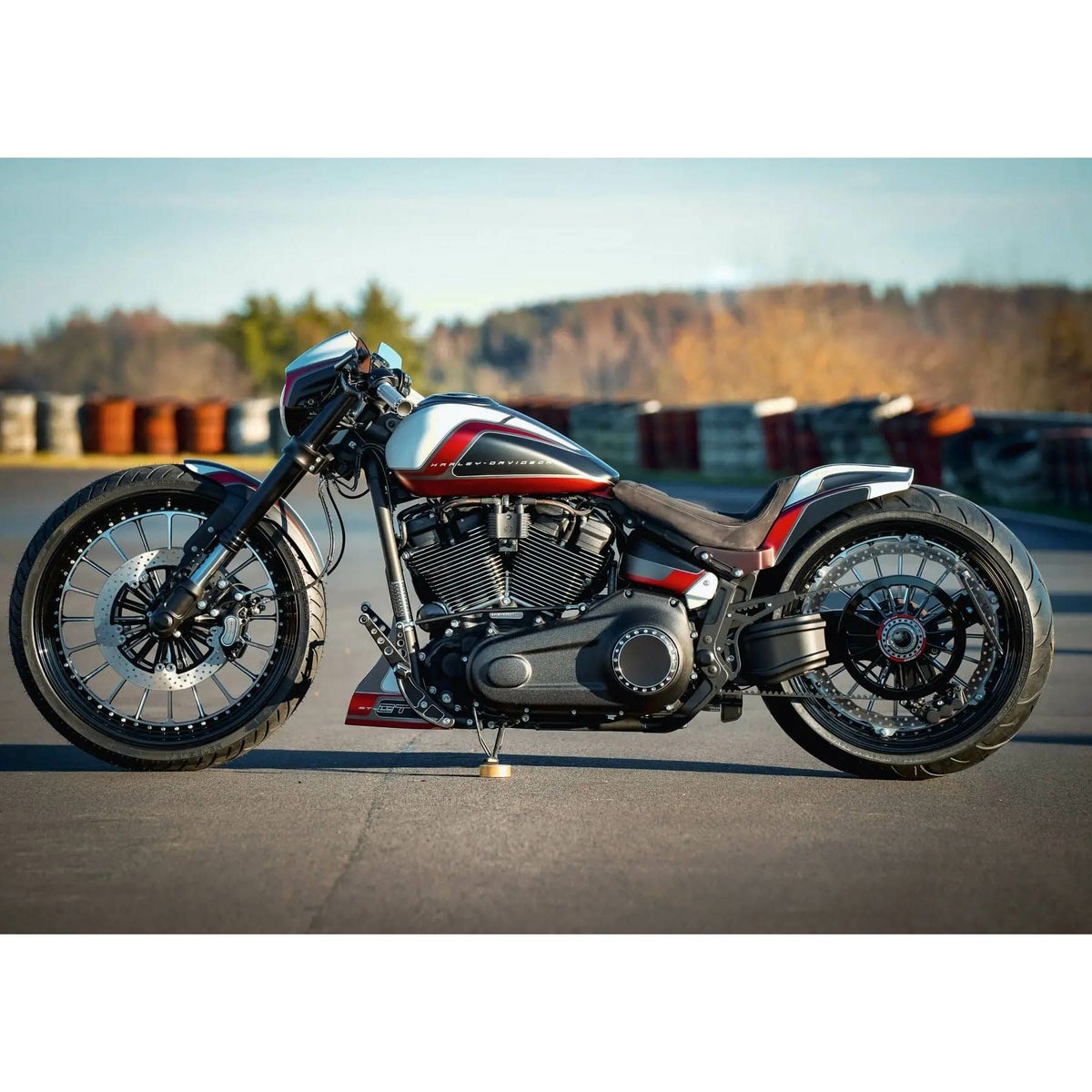 GPスタイル リアフェンダー 21インチ x 260mmタイヤ対応5