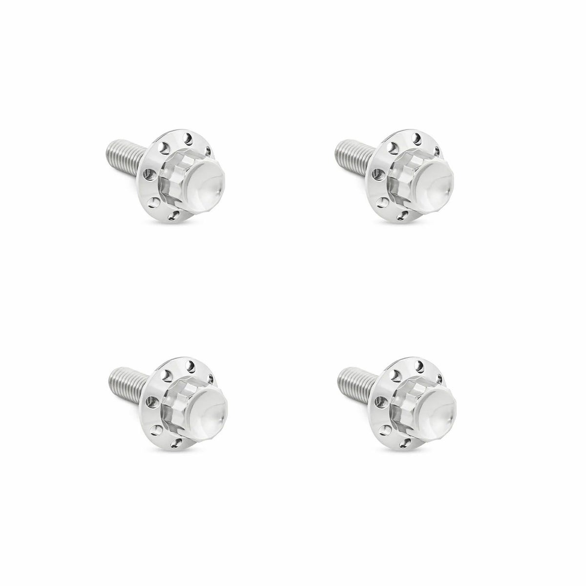 Arlenness（アレンネス） チタン 12ポイント ウインドシールドボルトキット ポリッシュ 2015～2023 ロードグライド 3