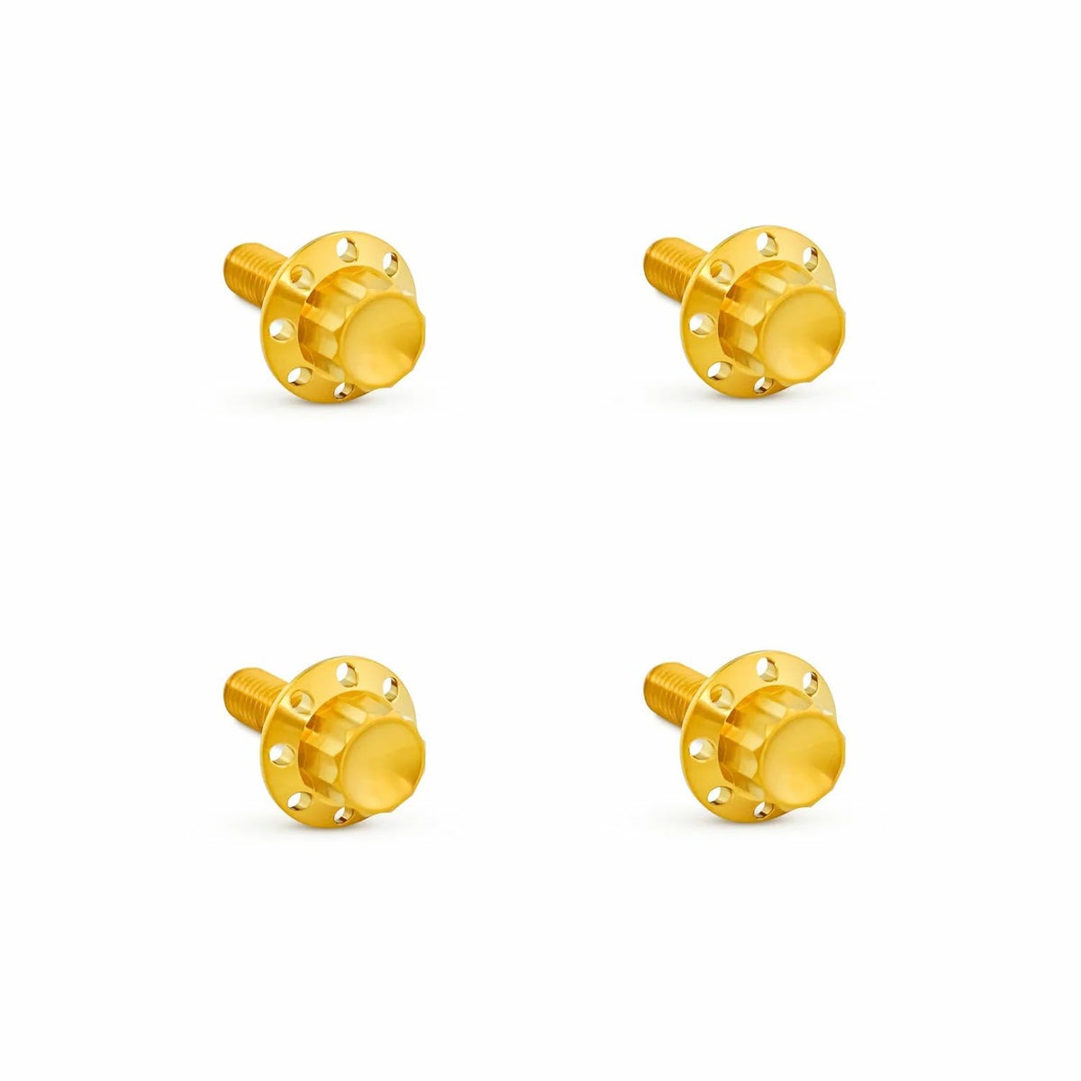 Arlenness（アレンネス） チタン 12ポイント ウインドシールドボルトキット ゴールド 2015～2023 ロードグライド 3