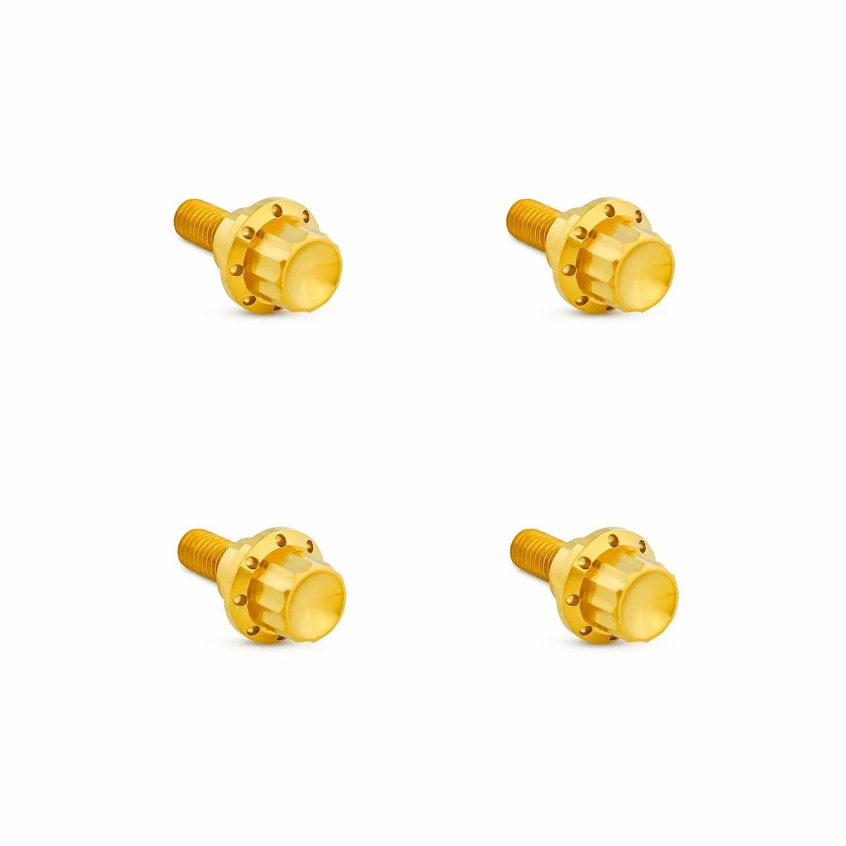 Arlenness（アレンネス） チタン 12ポイント ウインドシールドボルトキット ゴールド 2025以降 ロードグライド 2