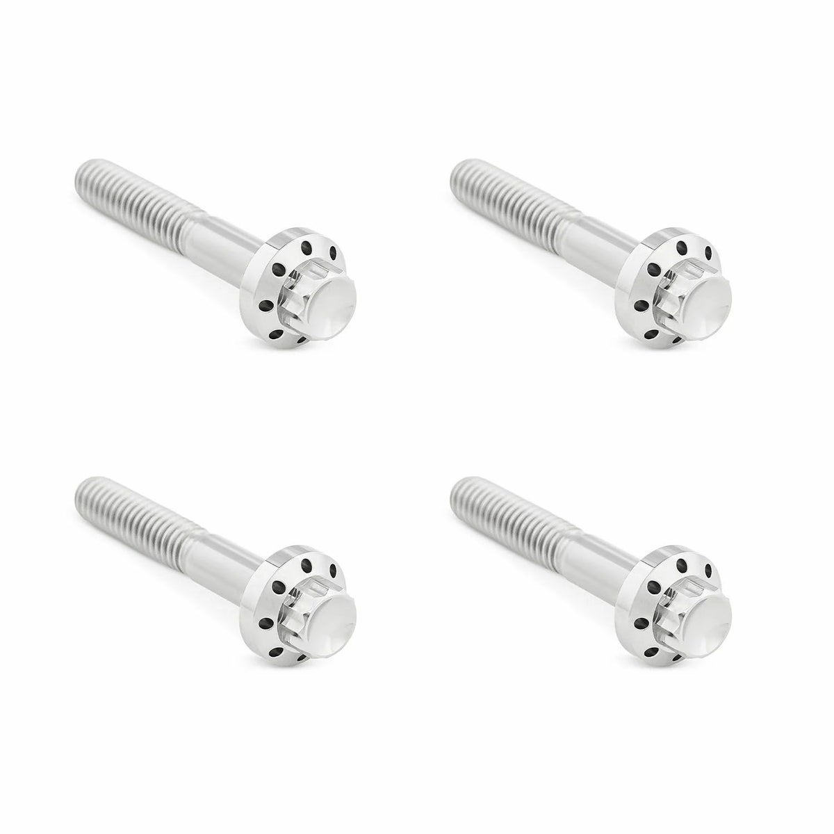 Arlenness（アレンネス） チタン 12ポイント フロントフェンダーボルトキット ポリッシュ 2009以降 ツーリング