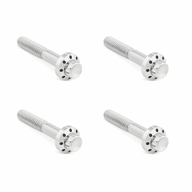 Arlenness（アレンネス） チタン 12ポイント フロントフェンダーボルトキット ポリッシュ 2009以降 ツーリング