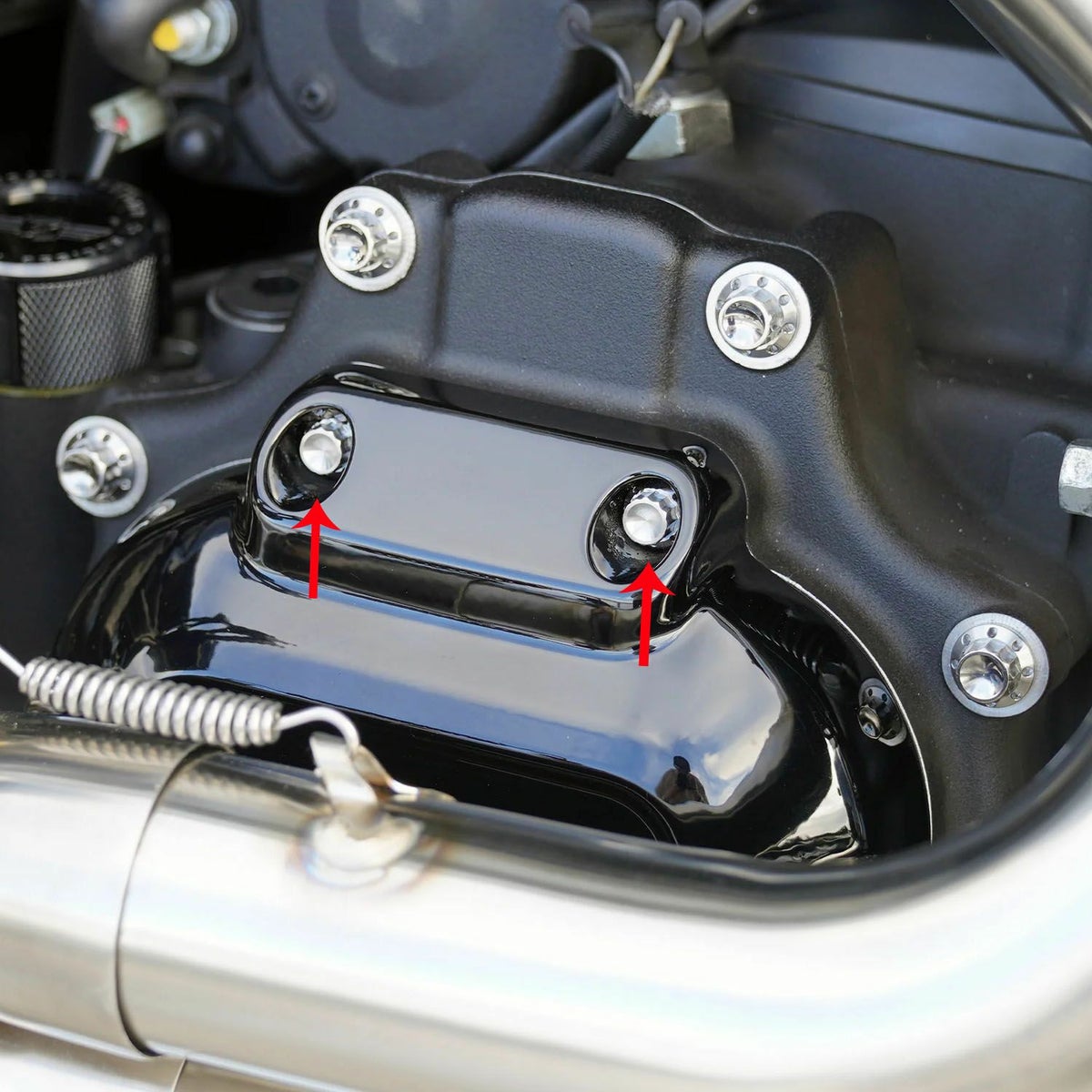 Arlenness（アレンネス） チタン 12ポイント トランスミッションサイドカバー ボルトキット ポリッシュ 2007～2023 ケーブルクラッチ車